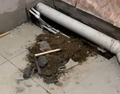 陆丰卫生间漏水检测哪家好